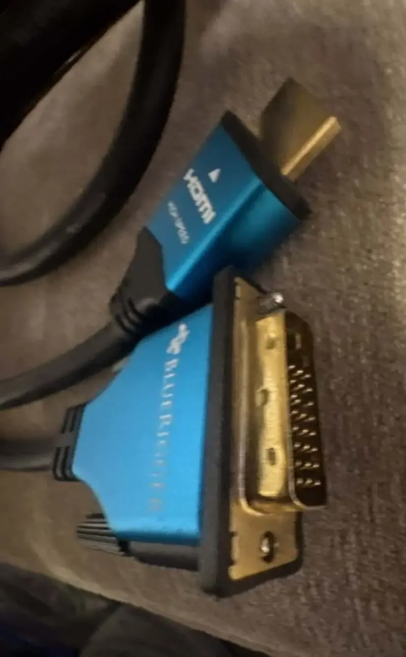 BlueRigger dvi hdmi